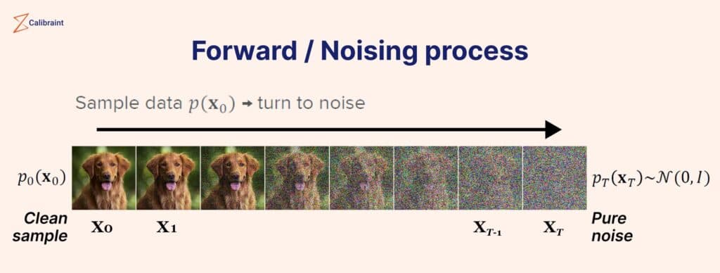 Forward Diffusion Process